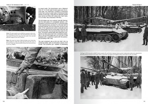 Abteilung 502 ABT760 CHARS DE LA WEHRMACHT WWII · CARLOS DE DIEGO VAQUERIZO – image 5