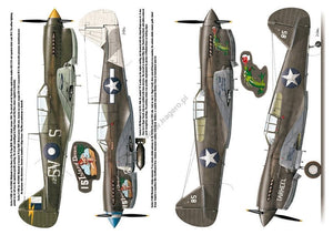 Kagero 3040 Curtiss P-40 vol. II EN – image 5