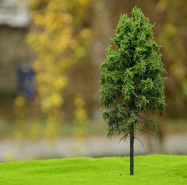 FREON MPW1 Larch - Modrzew pień wysoki (lesny) 18/20cm