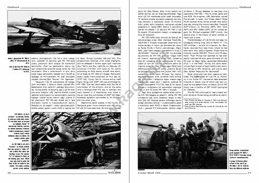 Kagero 3004 Focke Wulf Fw 190 vol. II (bez kalkomanii) EN/PL – immagine 2