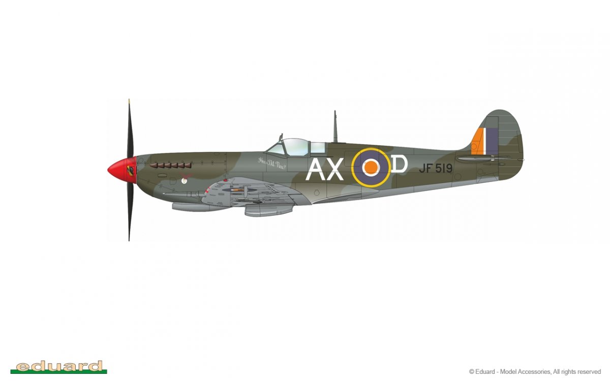 Eduard 8287 Spitfire HF Mk.VIII 1/48 – imagen 6