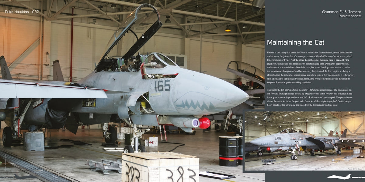 HMH Publications DH-037 Grumman F-14 Tomcat - Aircraft in Detail 037 (English Version) – image 7