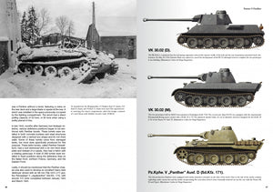 Abteilung 502 ABT760 CHARS DE LA WEHRMACHT WWII · CARLOS DE DIEGO VAQUERIZO – image 9