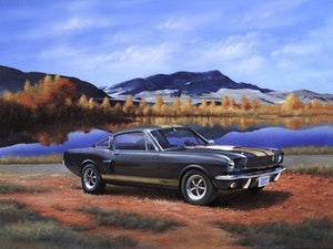 Revell 07242 Shelby Mustang GT 350 H 1/24 – Bild 2