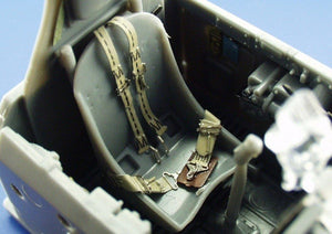 Eduard FE226 P-47D-20 1/48 Tamiya – imagen 2
