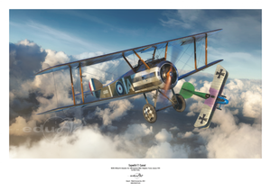 Eduard 8486 Sopwith F.1 Camel (Clerget) 1/48 – immagine 2