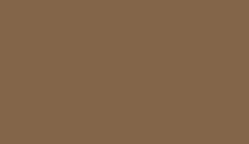 Lifecolor UA478 - Isonzo Brun 22ml