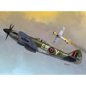 Sword 72096 Supermarine Spitfire Mk.XIV C/E Bubbletop 1/72