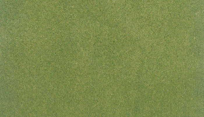 Tapis Woodland Scenic RG5141 « Herbe de printemps » (31,7 cm x 35,8 cm)