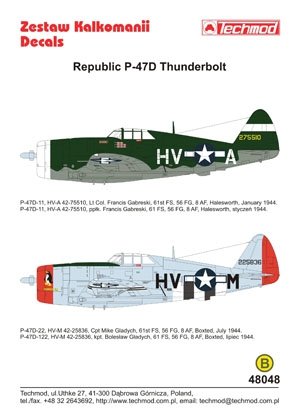 Techmod 48048 - Republic P-47D Thunderbolt 1/48 – immagine 2