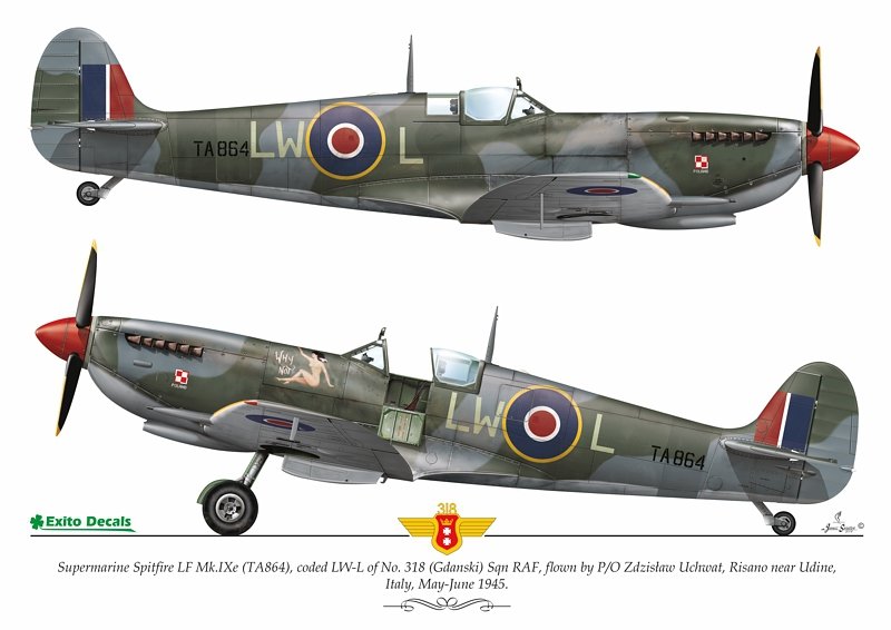 Exito ED48003 DECALS Sexy Spitfires - Supermarine Spitfire LF Mk Vb - VIII - IXe 1/48 – Bild 4