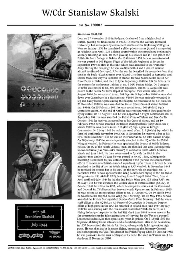 Mirage 120002 W/Cdr Stanisław SKALSKI (July 1944) 200mm – immagine 3