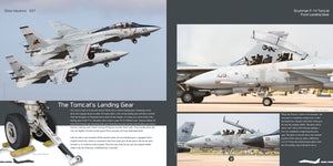 HMH Publications DH-037 Grumman F-14 Tomcat - Aircraft in Detail 037 (English Version) – image 5