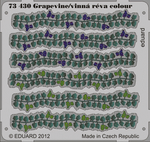 Eduard 73430 Grapevine color 1/72