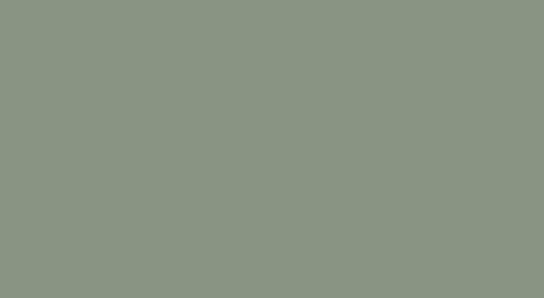 Lifecolor UA824 - Gris toit de locomotive diesel 22 ml
