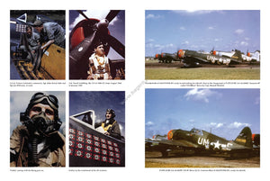 Kagero 12017 Thunderbolts of the U.S. 8th Army Air Force March 1944 – May 1945 EN – immagine 5